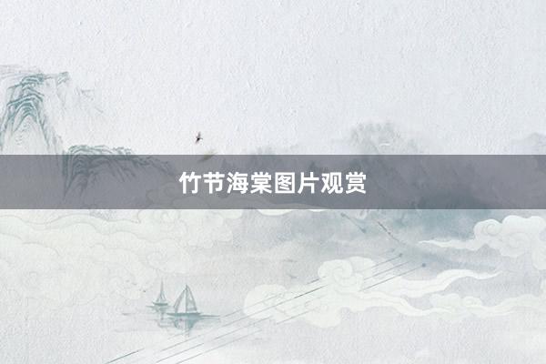 竹节海棠图片观赏