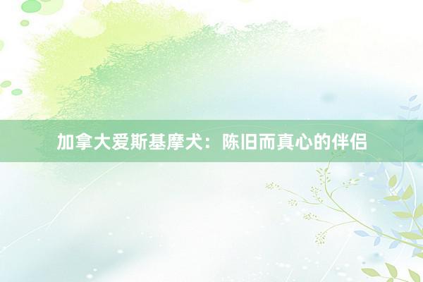 加拿大爱斯基摩犬：陈旧而真心的伴侣