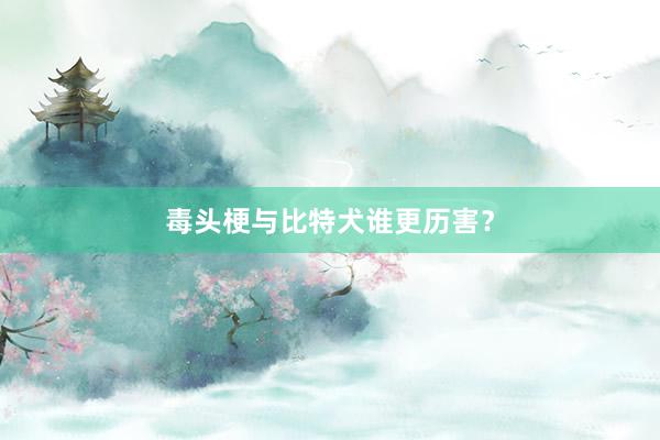 毒头梗与比特犬谁更历害？